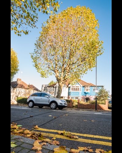 real-time traffic data